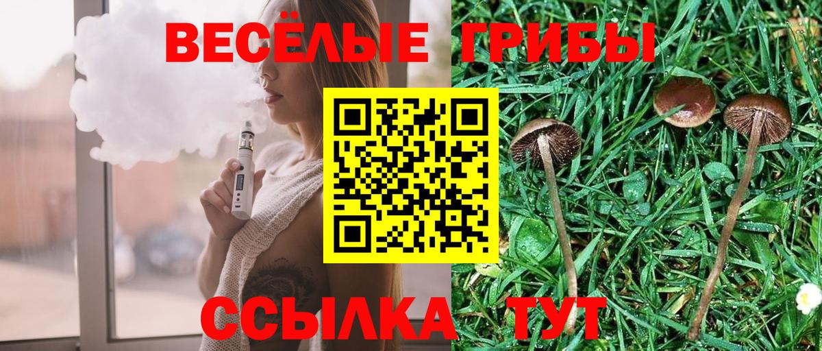 Усинск  Псилоцибиновые грибы GOLDEN TEACHER  Вход с VPN 