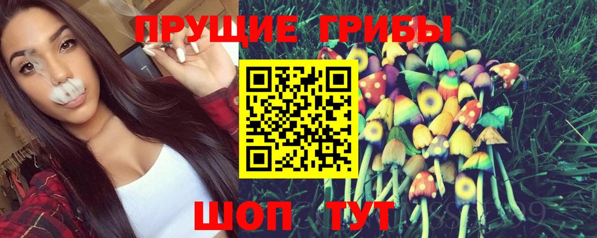 Галлюциногенные грибы Psilocybine cubensis Усинск